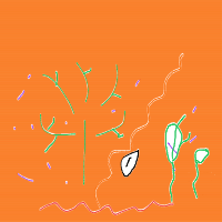 plant growing timelapse drawing by bahari in Artbitrator