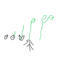 plant growing timelapse drawing by bahari in Artbitrator