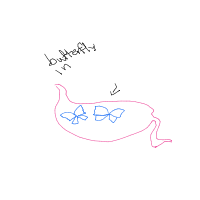 butterflies in stomach drawing by guest-uo2ev1uu5 in Artbitrator