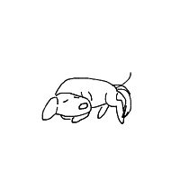 sleepy dog drawing by guest-j7kow1u85 in Artbitrator