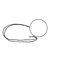 sleeping cat drawing by evzi in Artbitrator