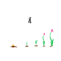 plant growing timelapse drawing by guest-yi91htt9p in Artbitrator