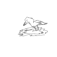 bird building nest drawing by guest-o3prrieyx in Artbitrator