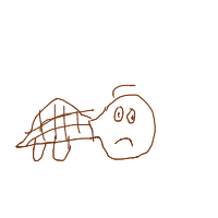 shy turtle drawing by guest-5lajxd8px in Artbitrator