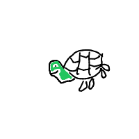 shy turtle drawing by abcd in Artbitrator