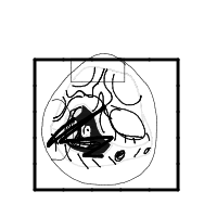 shy turtle drawing by wlalang101 in Artbitrator