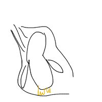 penguin sliding drawing by guest-5nt74u1xl in Artbitrator