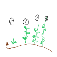 plant growing timelapse drawing by guest-5nt74u1xl in Artbitrator