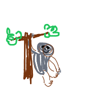 sloth hanging drawing by guest-4huprwlj5 in Artbitrator