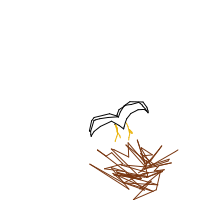 bird building nest drawing by guest-lsos2doj0 in Artbitrator