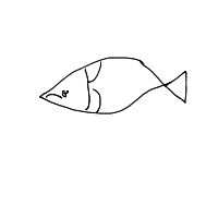 grumpy fish drawing by guest-36pcwuoau in Artbitrator