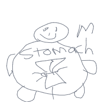 butterflies in stomach drawing by helloguuu in Artbitrator