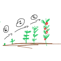plant growing timelapse drawing by mirela_base in Artbitrator