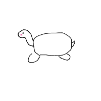 shy turtle drawing by kosidil735 in Artbitrator