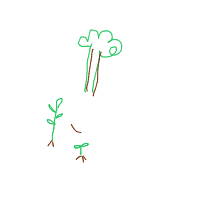 plant growing timelapse drawing by jojoieeee in Artbitrator