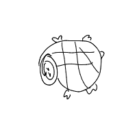 shy turtle drawing by guest-etire1puv in Artbitrator