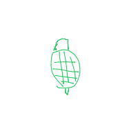 shy turtle drawing by guest-p7ht7iwk7 in Artbitrator