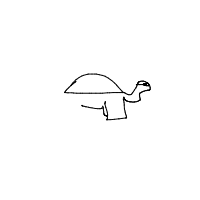 turtle with glasses drawing by ckriss in Artbitrator
