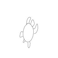 shy turtle drawing by nopalus in Artbitrator