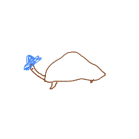 shy turtle drawing by guest-zjiuqpf21 in Artbitrator