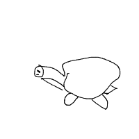 shy turtle drawing by kosidil735 in Artbitrator