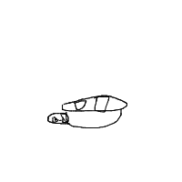 shy turtle drawing by guest-ebatm1gdt in Artbitrator