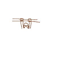 sloth hanging drawing by nunnu_pepu in Artbitrator