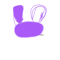 rabbit eating carrot drawing by guest-q0zx90v2w in Artbitrator