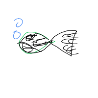grumpy fish drawing by mateusbcb in Artbitrator