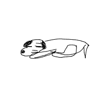 sleepy dog drawing by guest-bdtq9x2cb in Artbitrator