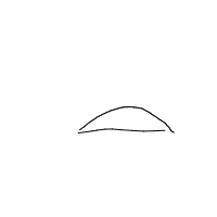 shy turtle drawing by lucov in Artbitrator