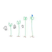 plant growing timelapse drawing by johannaclydeeeee in Artbitrator