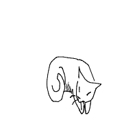 sleeping cat drawing by guest-m49bkphx4 in Artbitrator