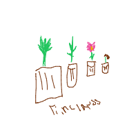 plant growing timelapse drawing by guest-s8scdamft in Artbitrator