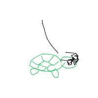 turtle with glasses drawing by lilsoup in Artbitrator