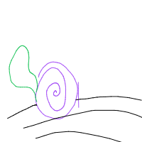 snail racing drawing by lizzicubu in Artbitrator