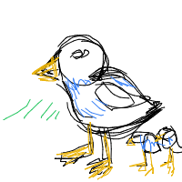 duck leading ducklings drawing by shunmackermann in Artbitrator