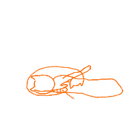 sleeping cat drawing by guest-o84z2plt4 in Artbitrator