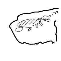 sleeping cat drawing by guest-750zeexb7 in Artbitrator