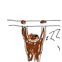 sloth hanging drawing by guest-9v5ws9f0z in Artbitrator
