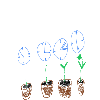 plant growing timelapse drawing by guest-4gig3jtay in Artbitrator