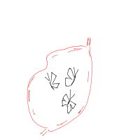 butterflies in stomach drawing by guest-sl3talro6 in Artbitrator