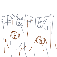 raining cats and dogs drawing by norad1122 in Artbitrator