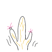 dancing cactus drawing by guest-zsef4ea56 in Artbitrator