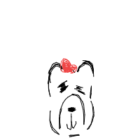 bear with a hat drawing by guest-1gb8les72 in Artbitrator