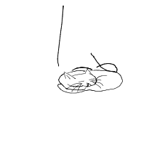 sleeping cat drawing by guest-n65mmc9h2 in Artbitrator