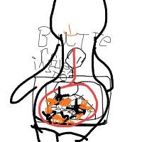 butterflies in stomach drawing by guest-avgil10ky in Artbitrator