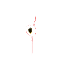 butterflies in stomach drawing by mal0 in Artbitrator