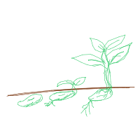 plant growing timelapse drawing by guest-o9n1ehpos in Artbitrator