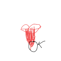 tip of tongue drawing by guest-f4heko5kc in Artbitrator